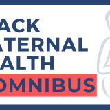 Black Maternal Health Momnibus[62160] 